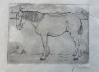 Horse etching