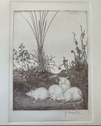 4 mice etching